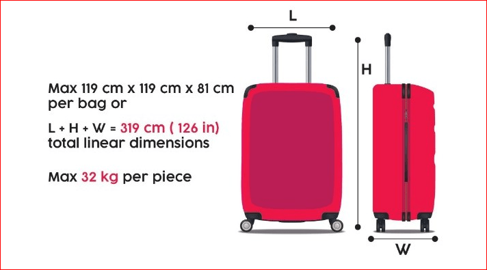 Checked Baggage