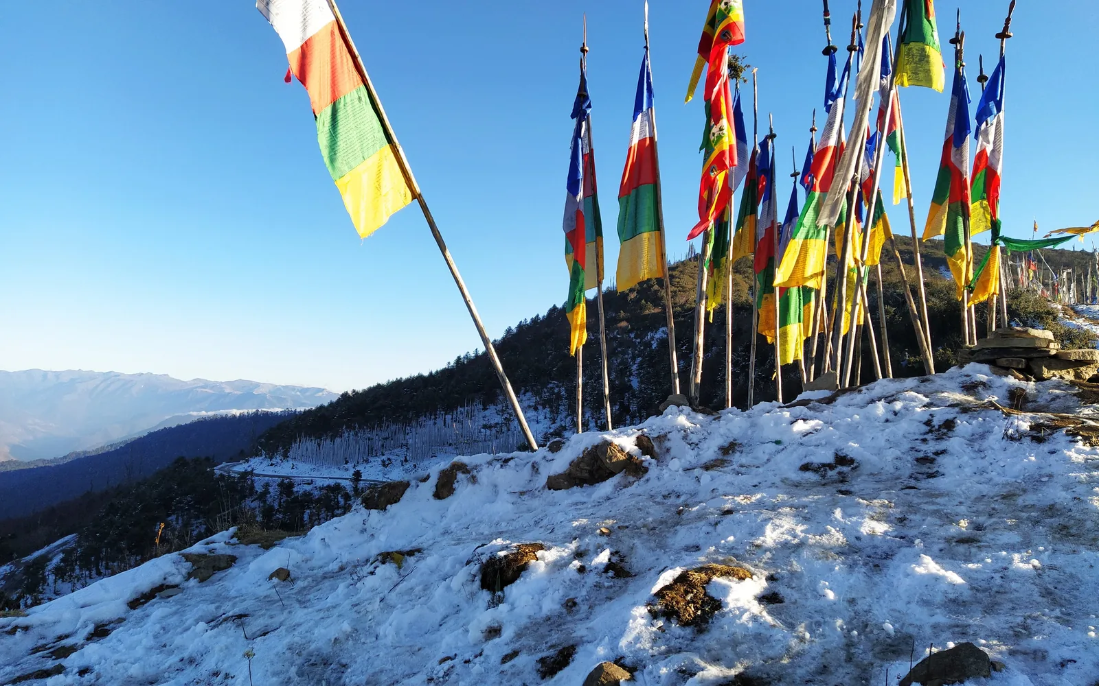 Buddhist prayer flags on a Bhutan Himalayan ridge