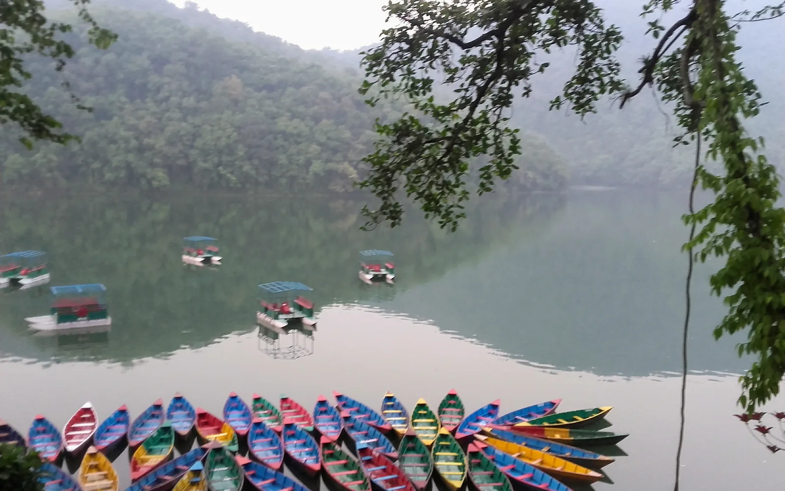 Colourful boats on Phewa Lake, Pokhara, Nepal