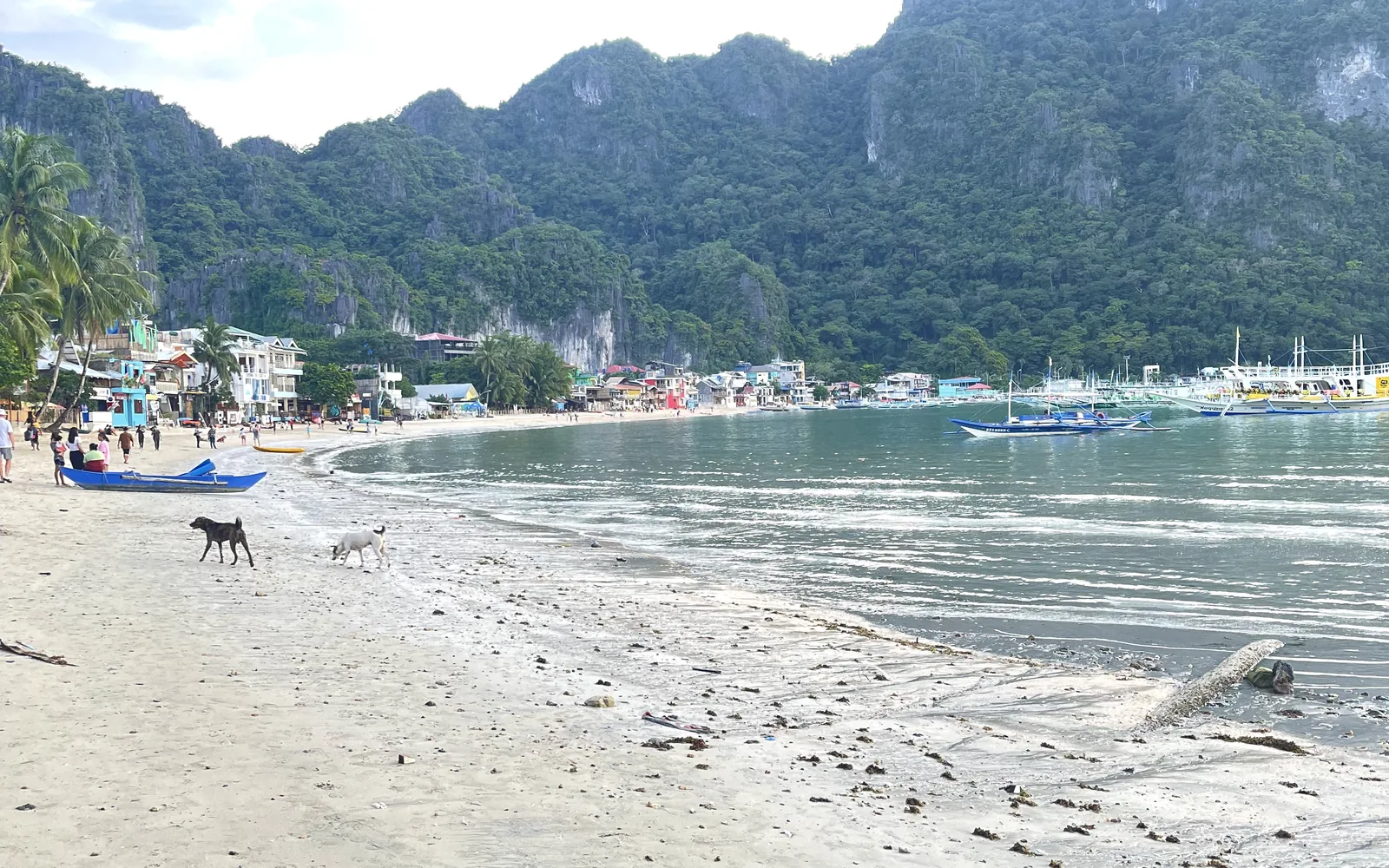 An El Nido beach framed by limestone karst and turquoise water, Palawan, Philippines — photo by goFLY founder Mahabub Alam Razu, August 2024