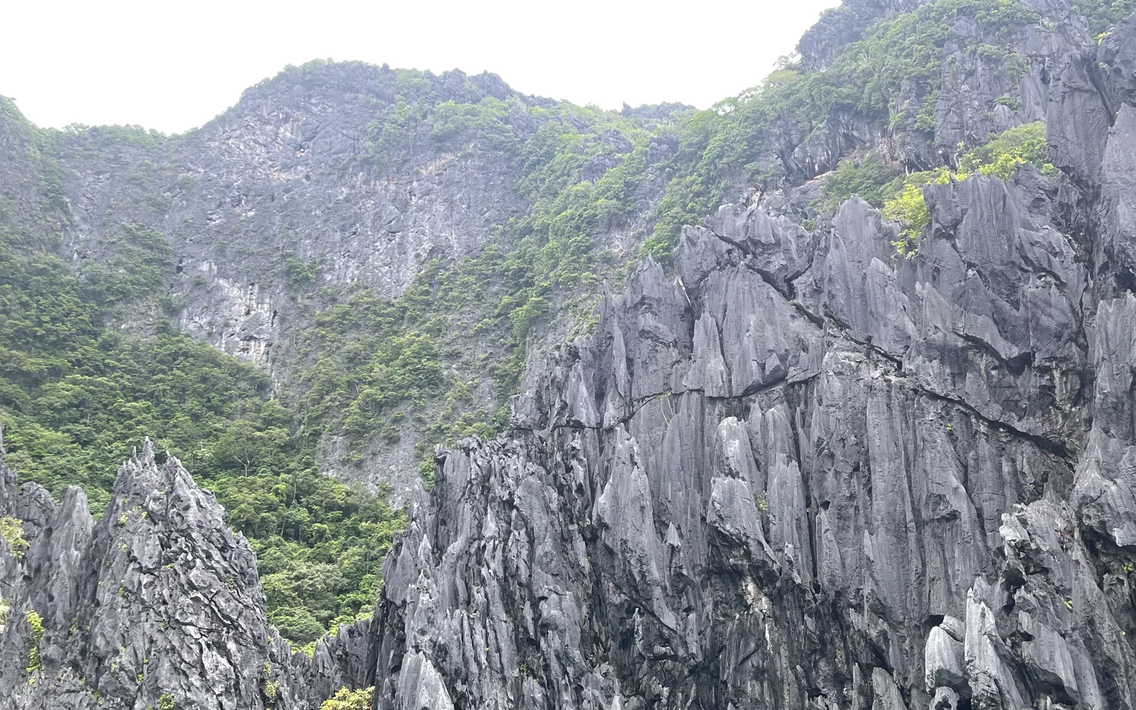 Sheer limestone cliffs guarding a hidden lagoon in El Nido, Palawan, Philippines — photo by goFLY founder Mahabub Alam Razu, August 2024