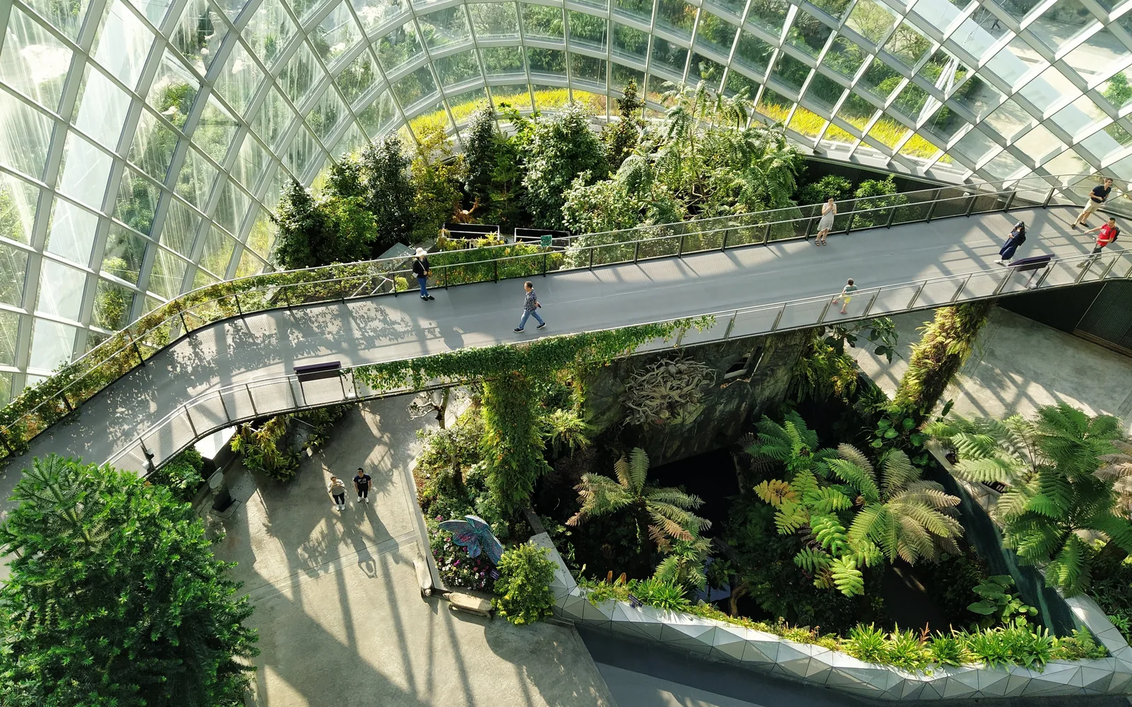 The aerial walkway around the green mountain inside the Cloud Forest dome — photo by goFLY founder Mahabub Alam Razu, January 2020