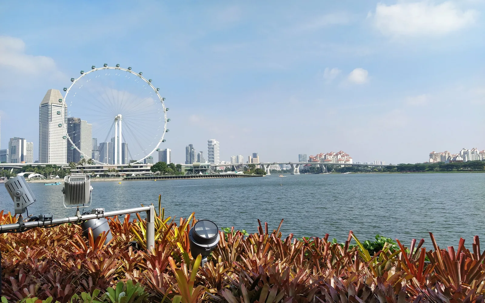 The Singapore Flyer observation wheel across Marina Bay with gardens in the foreground — photo by goFLY founder Mahabub Alam Razu, January 2020