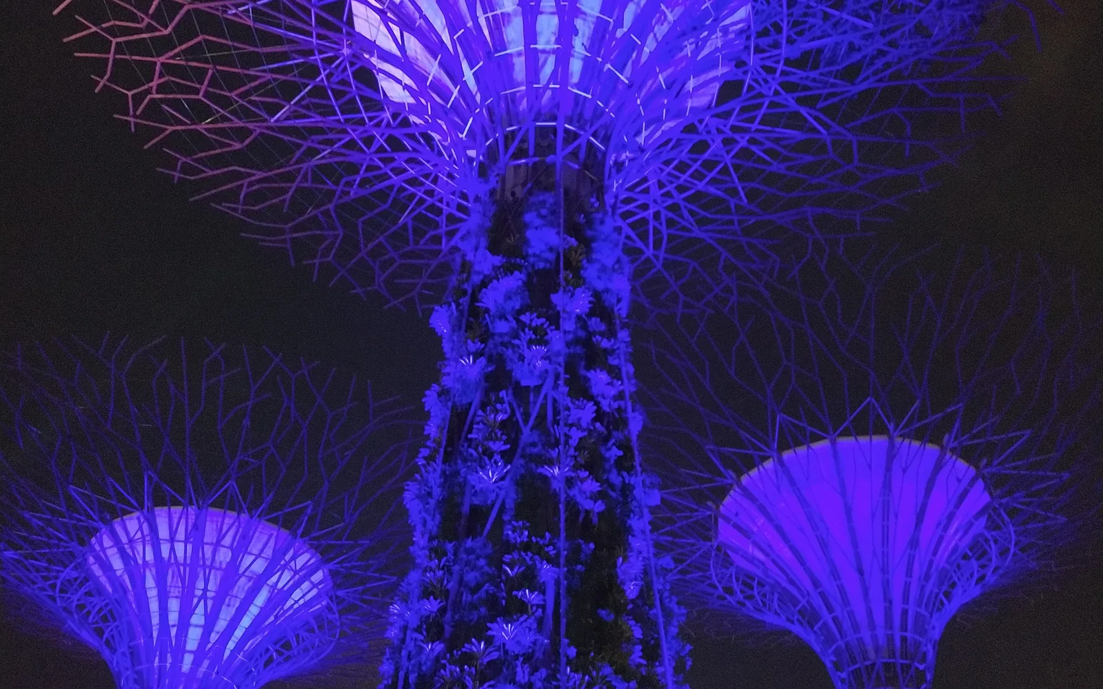 The Supertree Grove lit at night, Gardens by the Bay, Singapore — photo by goFLY founder Mahabub Alam Razu