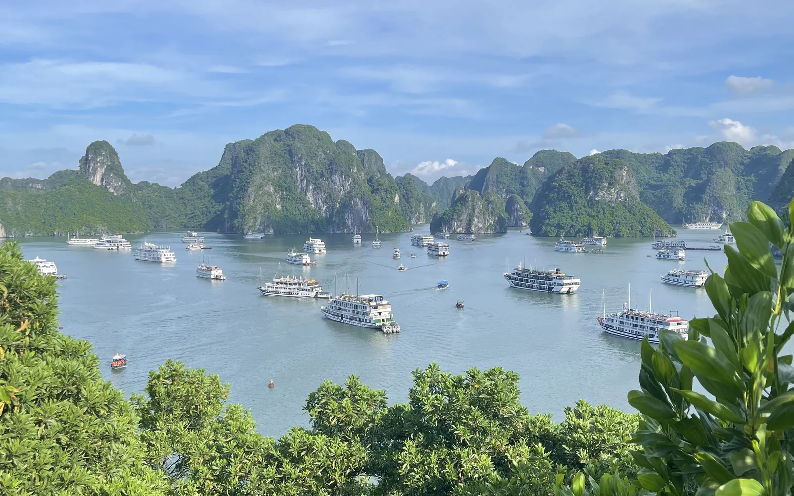 Halong Bay's karst islands from a viewpoint, Vietnam — photo by goFLY founder Mahabub Alam Razu