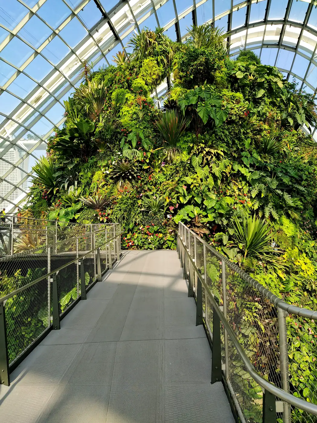 Lush greenery and walkway inside the Cloud Forest dome at Gardens by the Bay — photographed by the goFLY team in Singapore